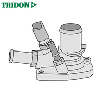 Tridon Thermostat TT1672-190