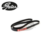Gates 6PK1640 Multi Ribbed Drive Belt