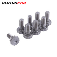 BOLT SET F/W GM 10x1.25x25 (8) 73Nm FWBGM12