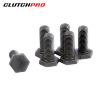 BOLT SET F/W GM 10x1.25x24.6 (6) 73Nm FWBGM26