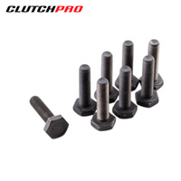 BOLT SET F/W LDV 10x1.25x40 (8) 73Nm FWBLD04
