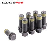 BOLT SET F/W MAZDA 12x1.0x30.5 (8) 132Nm FWBMZ03