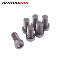 BOLT SET F/W PORSCHE 12x1.25x25.4 (6) 132Nm FWBPR02