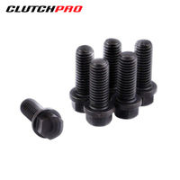 BOLT SET P/P FORD 10x1.5x25 (6) 73Nm PPBFD02