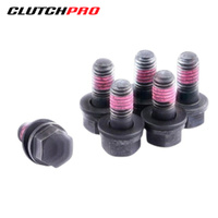 BOLT SET P/P GM 8x1.25x17.3 (6) 32Nm PPBGM09