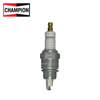 Champion D89D Spark Plug (543)