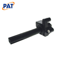 PAT IGNITION COIL IGC-032