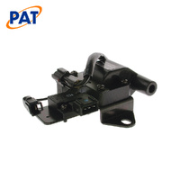 PAT IGNITION COIL AND MODULE IGC-046