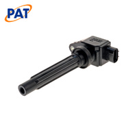 PAT IGNITION COIL IGC-285