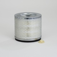Donaldson Air Filter Safety P123230