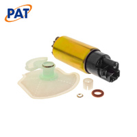 Electronic Fuel Pump EFP-203M