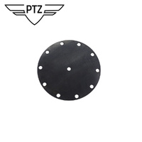 Fuel Pump Diaphragm Membrane