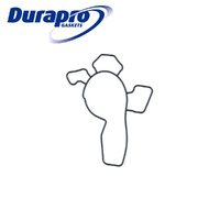WATER PUMP GASKET RUBBER FOR HOLDEN Z14XEP BARINA COMBO XC 04-7/13