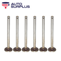 Exhaust Valve Set FOR Rugby Durant D55 D60 D63 D65 D66 Continental 6 Cyl 14L 15L