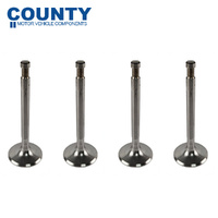 Inlet Valve Set FOR MG MGA 1.6L 1622 60-62 MGB 1.8L 1798 62-68 (Long Groove)