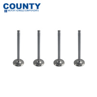 Inlet Valve Set FOR Triumph Dolomite 1850 1.9L 1972-1976