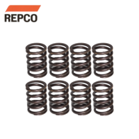 Valve Spring Set FOR Ford Capri Cortina Escort Pinto 2.0 litre 2000 RS OHC