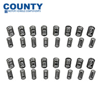 Valve Spring Kit FOR Daimler Dart SP250 2.5L V8 1959-1969 Double