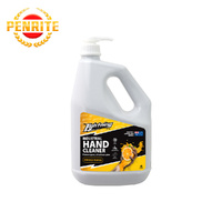 PENRITE ORANGE PUMICE 899I
