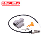 Raceworks 1/8in NPT Air Temp Flylead Sensor ATS-501