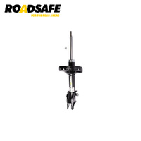 Roadsafe Shock Absorber Strut R600262