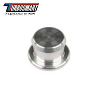 BOV 25MM HOSE BLANKING PLUG TS-0205-2013