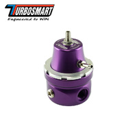 FPR6 EFI PURPLE TS-0404-1023
