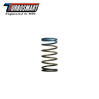 WG50/60 10PSI MID SPRG-BLK/BLU TS-0502-2004