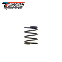 WG 7PSI MIDDLE SPRING BROWN/PURPLE TS-0505-2003