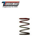 WG38/40/45 11PSI MIDDLE SPRING BROWN/RED TS-0505-2004