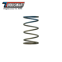 WG38/40/45 10PSI OUTER SPRING BROWN/BLUE TS-0505-2005