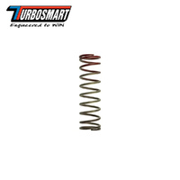 WG 30PSI OUTER SPRING BROWN/RED TS-0505-2014