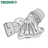 Tridon Thermostat TT1636-190