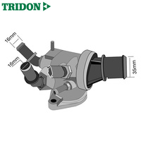 Tridon Thermostat TT1669-190