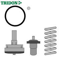 Tridon Thermostat TT1686-203