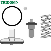 Tridon Thermostat TT1689-176