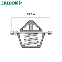 Tridon Thermostat TT1712-180