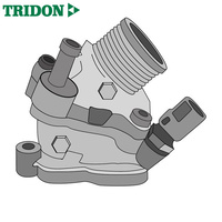 Tridon Thermostat TT1732-194