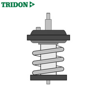 Tridon Thermostat TT1743-203