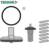 Tridon Thermostat TT1745-181