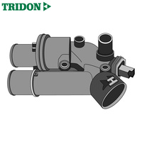 Tridon Thermostat TT1747-181