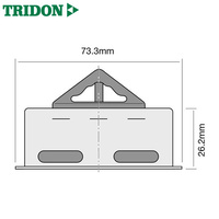 Tridon Thermostat TT245-192P (High Flow)