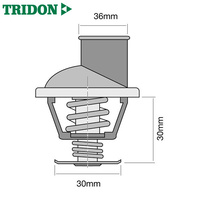 Tridon Thermostat TT283-195P (High Flow)