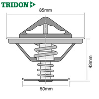 Tridon Thermostat TT289-160P