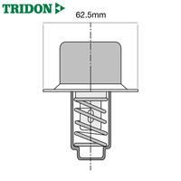 Tridon Thermostat TT405-174P