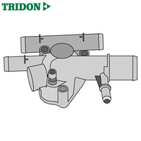 Tridon Thermostat TT515-192