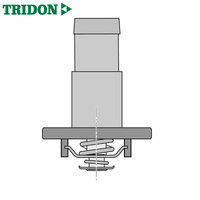Tridon Thermostat TT538-187