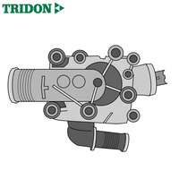 Tridon Thermostat TT618-195
