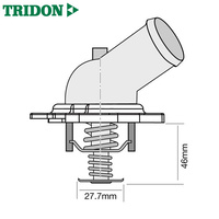 Tridon Thermostat TT636-172