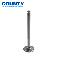 Exhaust Valve FOR Triumph TR7 2.0L Dolomite 1850 1.9L Stag 3.0L V8 1970-1981